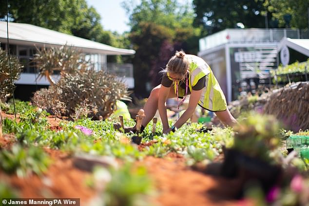 Workers have been busy tending to the gardens in recent weeks ready for thousands of visitors