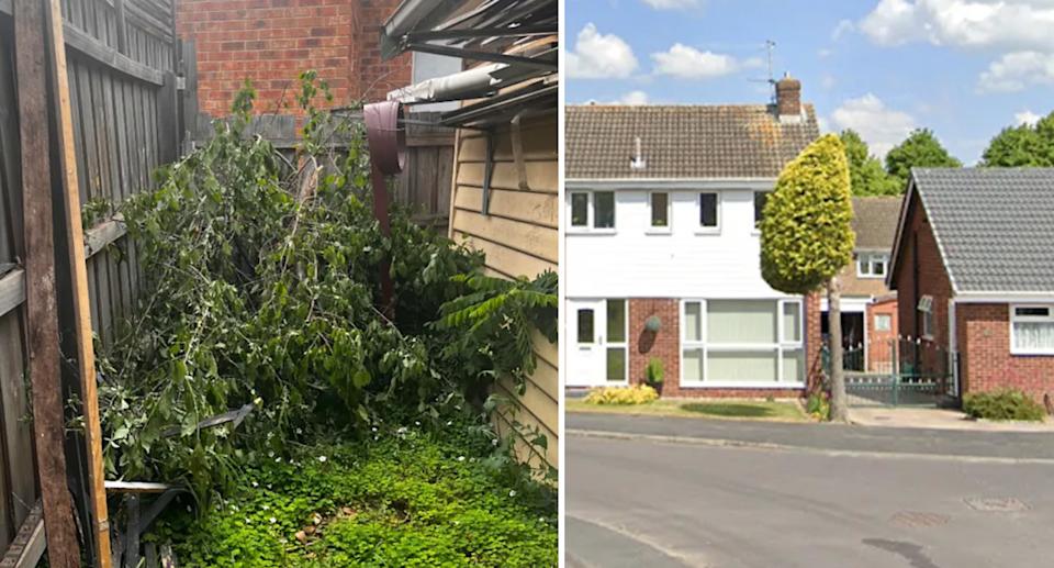 Branches lying in a backyard near a fence (left) and the image of a tree on a driveway cut in half (right). 
