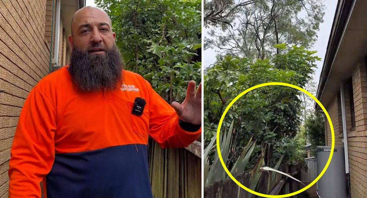 Gardener’s tip for dealing with ‘nightmare’ issue growing in Aussie suburbs Gardener's tip for dealing with 'nightmare' issue growing in Aussie suburbs