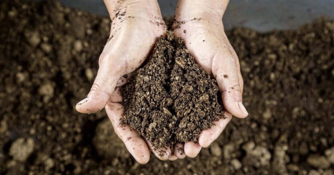 Compost crisis: the dirty truth about peat ‘extractivism’ in Ireland