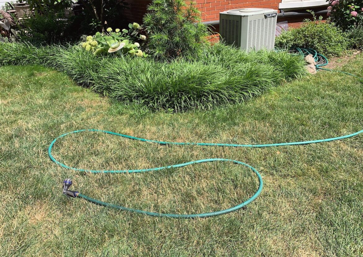 Four ways your garden hose can actually harm your yard Mostly Sunny