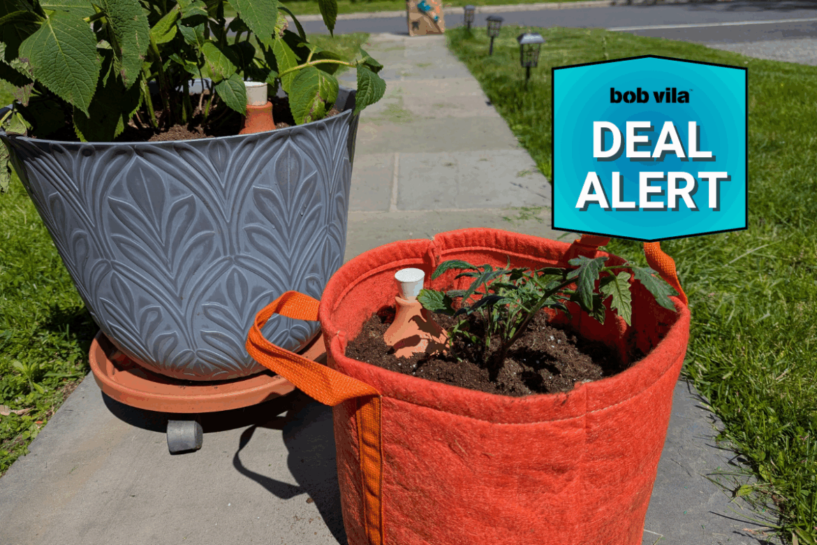 My Favorite Plant Waterer Is $8 Now (& More Under-$25 Prime Day Garden Deals)