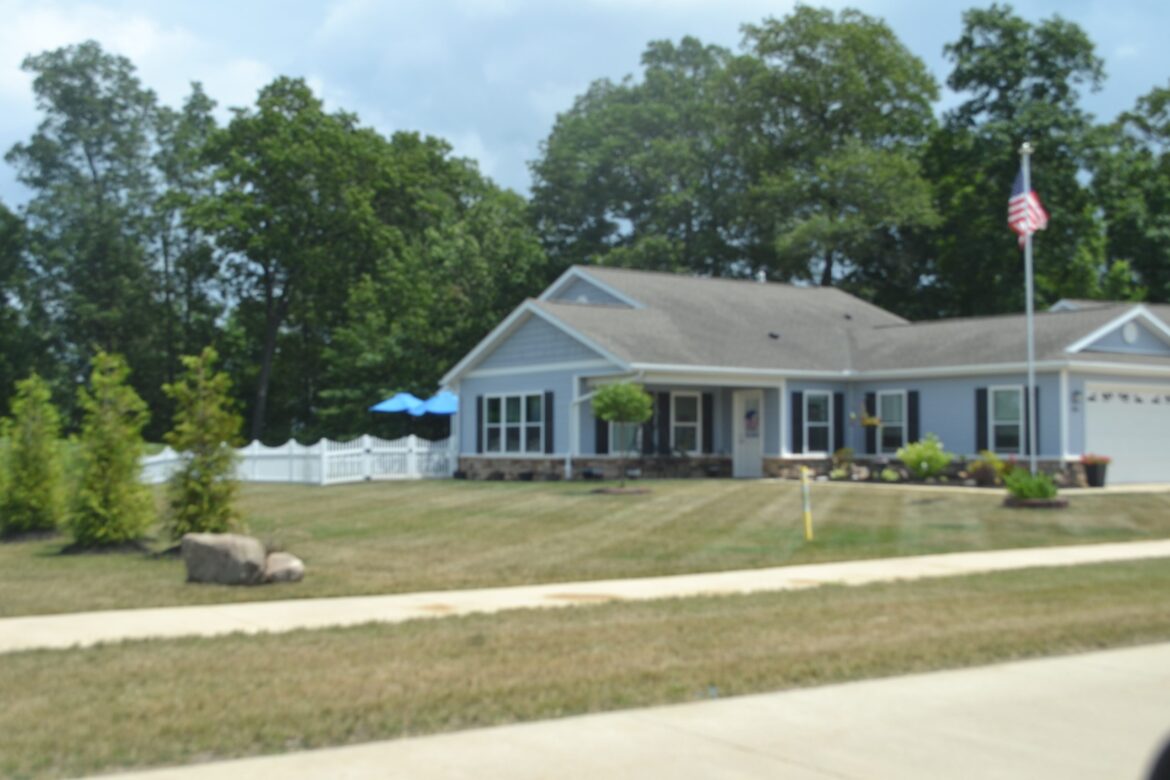 ‘My lawn is brown and looks burnt’ ‘My lawn is brown and looks burnt’