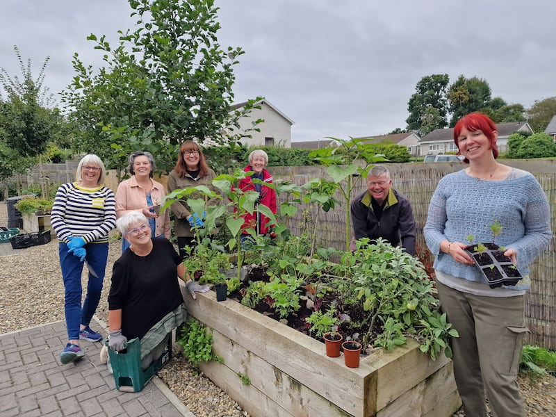 Kim (right) at Creuddyn community garden with other gardeners