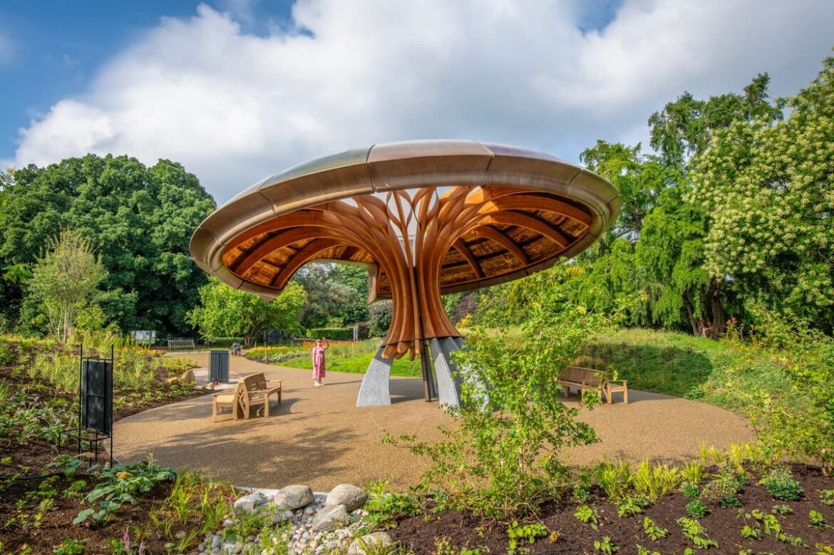 Kew Gardens unveils major new attraction with 6,500 plants
