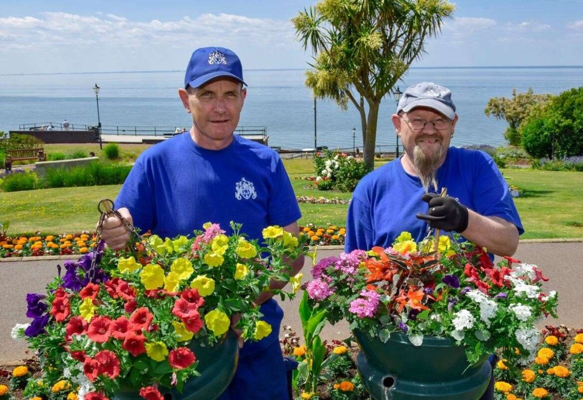 Thousands of flowers for summer displays at King’s Lynn, Downham Market and Hunstanton
