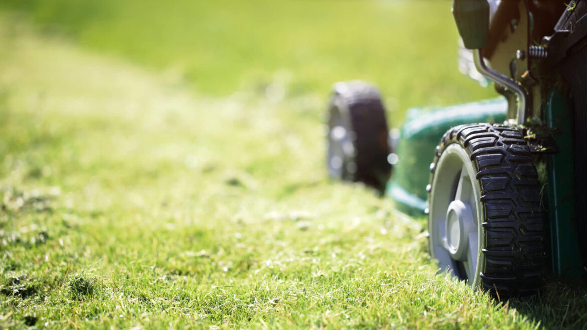 Homeowners sing praises of next-gen lawn care equipment: ‘I’ll never go back’ "Once I had a taste, I went crazy."