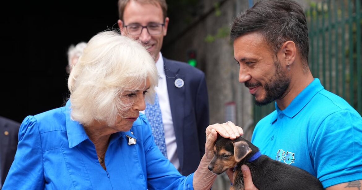 Camilla smitten by Battersea puppy as she opens dog-friendly garden – The Irish News
