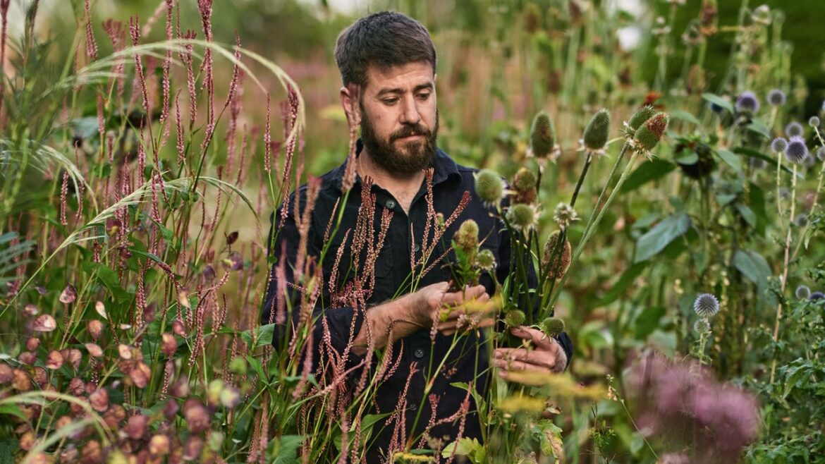 Garden designer Chris Brown on the climate-resilient plants to know about