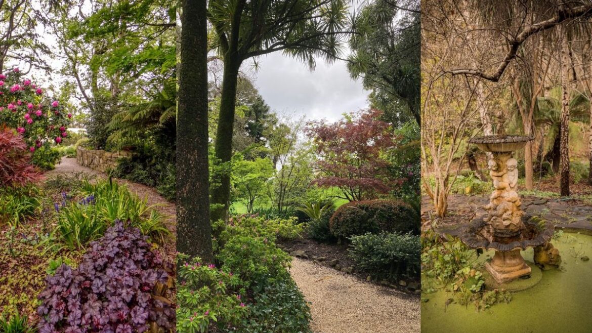 Adelaide Hills' most prestigious estates open secret gardens to the public for one day only