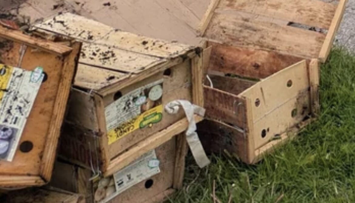 The company is no stranger to criticism.