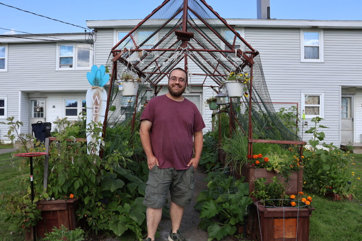 Limited space can’t stop Bangor’s urban gardeners from growing their own food Limited space can't stop Bangor's urban gardeners from growing their own food