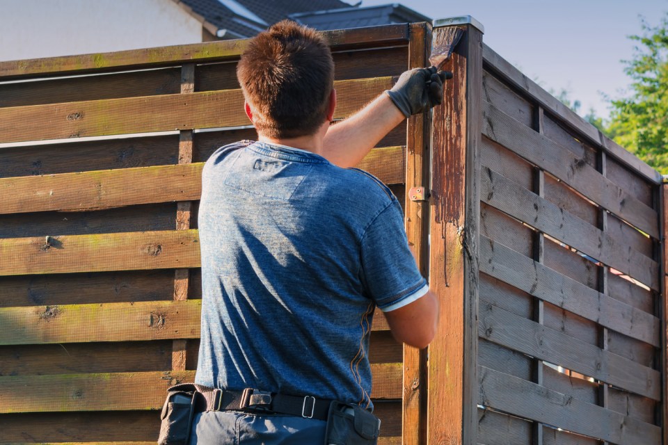 Person staining a wooden fence.