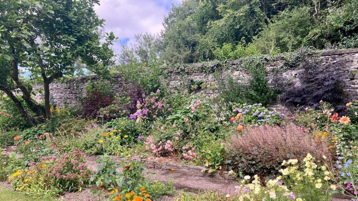Llanrhystud garden gets new life with Arthur Newman’s latest project Llanrhystud garden gets new life with Arthur Newman's latest project