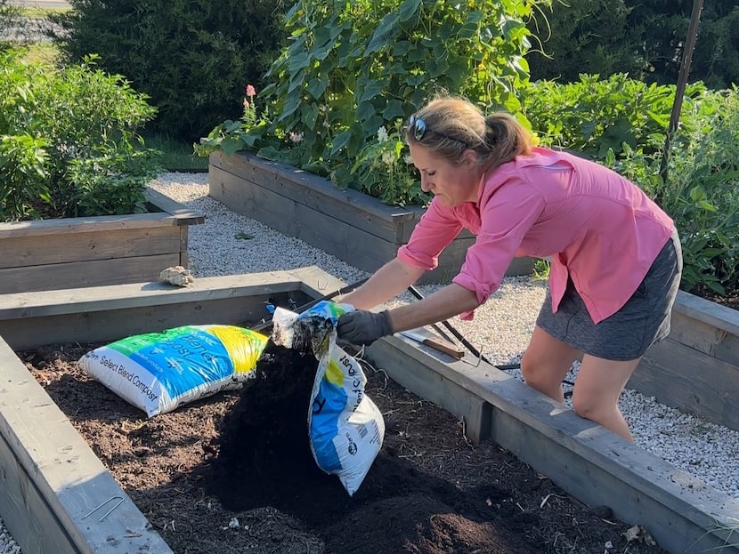 Woman putting gardening materials into a growing bed