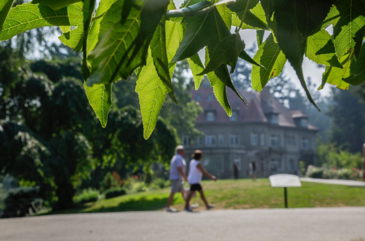 Oregon gardening events to teach and inspire you this summer Oregon gardening events to teach and inspire you this summer
