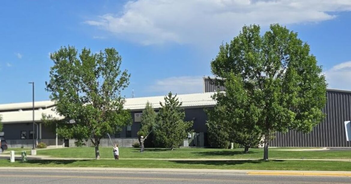 Mixing pesticides a no-no if you don’t know what you are doing