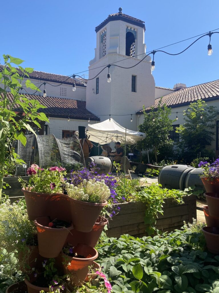 Music in the Garden – Daily Democrat