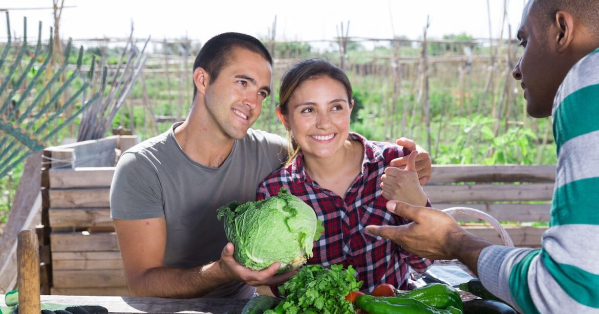 How to get the feel-good factor from an allotment – The Irish News How to get the feel-good factor from an allotment – The Irish News
