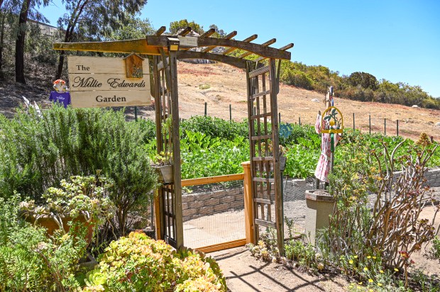 The Millie Edwards Garden, one of three gardens at Cadence:...
