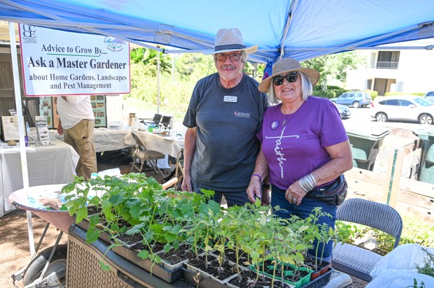 Poway Valley Garden Club members volunteered, providing free garden plants,...