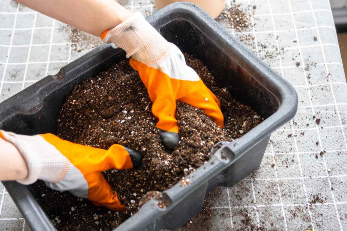 What to Do With Old Potting Soil, According to Plant Pros What to Do With Old Potting Soil, Per Pro Gardeners