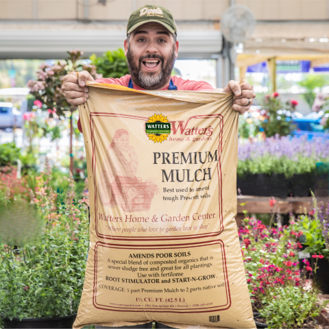 Watters Premium Mulch large bag being held by Watters employee at the garden center.