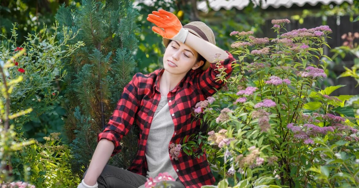 Time-saving tips for the busy gardener – The Irish News