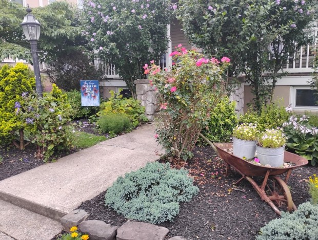 The Wehrs said that friends and neighbors provided plants and the old wheelbarrow that is a centerpiece to the gardens.  The gardens can be found on Ave C. in Schuylkill Haven. (SUBMITTED)