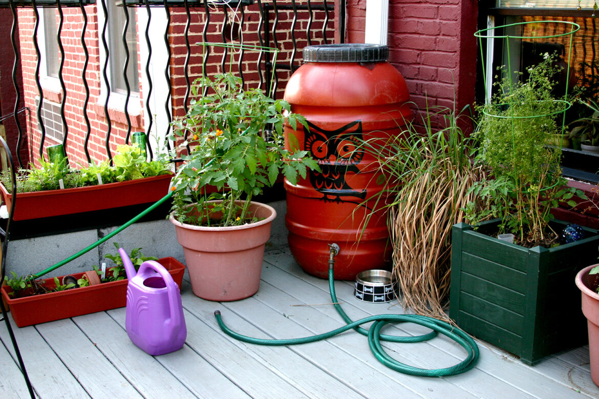 Build a rain barrel to reduce water bill, keep your garden fresh this summer Build a rain barrel to reduce water bill, keep your garden fresh this summer