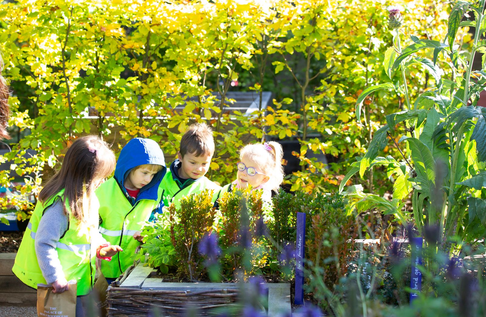 Edinburgh’s royal community garden celebrates five years and hundreds of educational visits