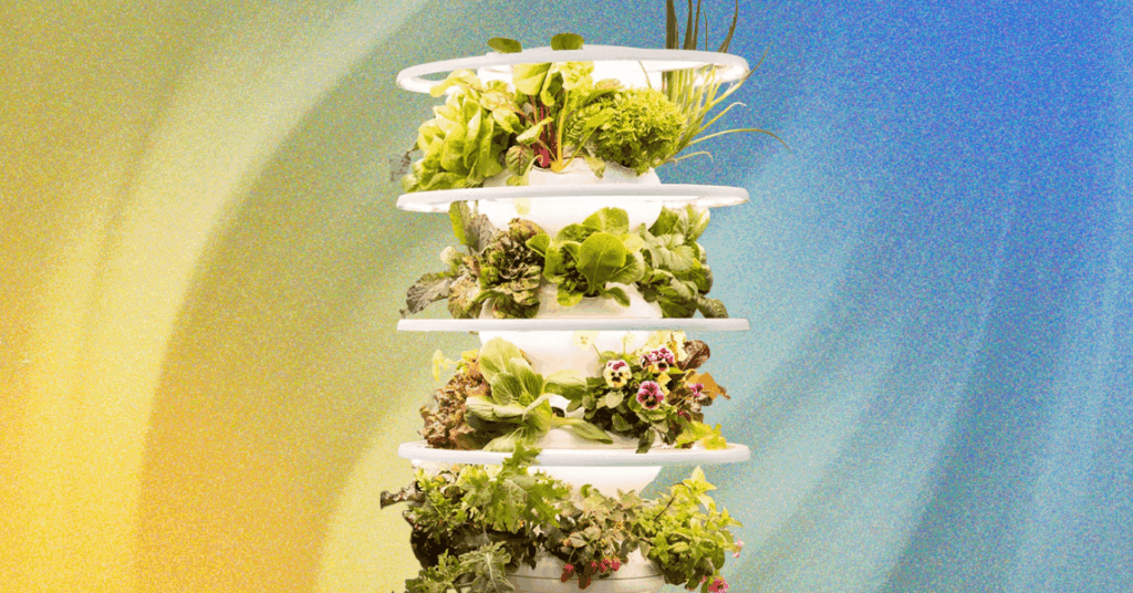 Lettuce Grow Indoor Farmstand Review: Grow Your Own Lettuce Grow Indoor Farmstand Review: Grow Your Own