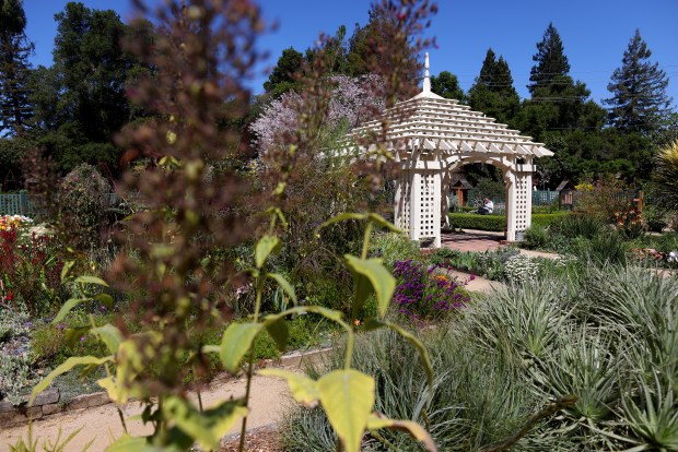 Gazebo at the Elizabeth F. Gamble Garden on Tuesday, April 8, 2025, in Palo Alto, Calif. The Elizabeth Gamble Garden is a 2.5-acre plot in Old Palo Alto that consist of gardens, a historic home, a carriage house and a tearoom. (Aric Crabb/Bay Area News Group)