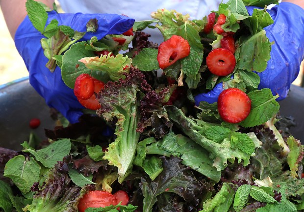 Chef Katie Reicher hand-mixes a baby lettuce and strawberry salad...