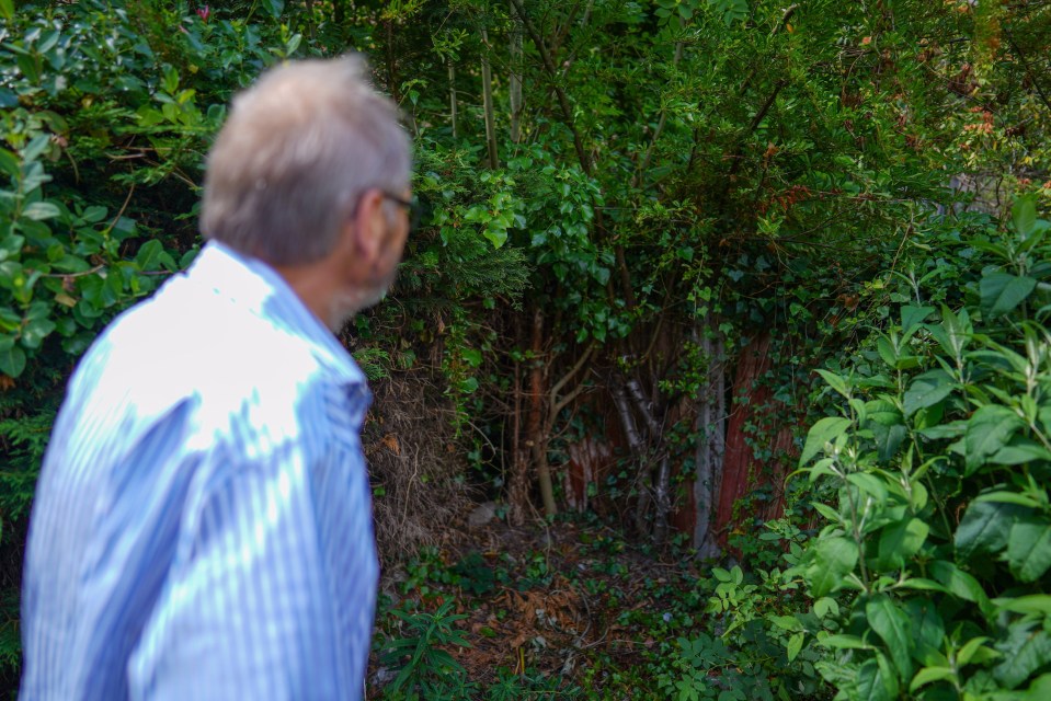 Christopher York, 65, from Chesterfield who accidentally cut his neck open with a chainsaw - The corner of the garden where the accident took place. June 27, 2025. A man who suffered "catastrophic blood loss" when he accidentally cut his neck open with a chainsaw while gardening has recalled a series of fortunate events that led to his survival. Christopher York was in his garden in Chesterfield, Derbyshire, when the chainsaw he was using became jammed, while cutting left to right, before it then followed through a branch and then "span around". The 65-year-old said he then felt a "cold wetness" at his front and saw his blood-covered shirt. Christopher said a number of coincidences, including a specialist vascular surgeon being on duty at the hospital he was rushed to who then operated on him, meant he lived, and has thanked NHS staff who helped him.