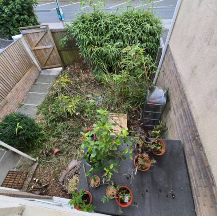 Bamboo was taking over my garden but a cheap buy from The Range got rid of it</p>
<p>https://www.facebook.com/groups/gardeningonabudgetofficial/permalink/3425227070963851/?rdid=TdtMk9ejheKyYP4J&share_url=https%3A%2F%2Fwww.facebook.com%2Fshare%2Fp%2F19dCgkzCzD%2F#