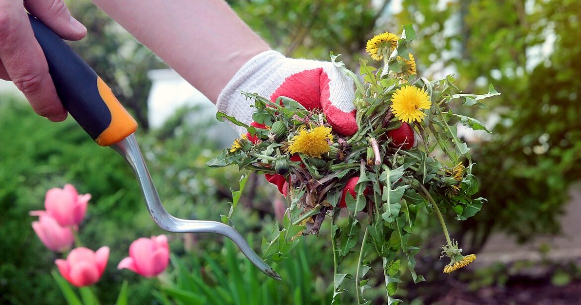 'Earth-friendly' gardening can solve pesticide problems