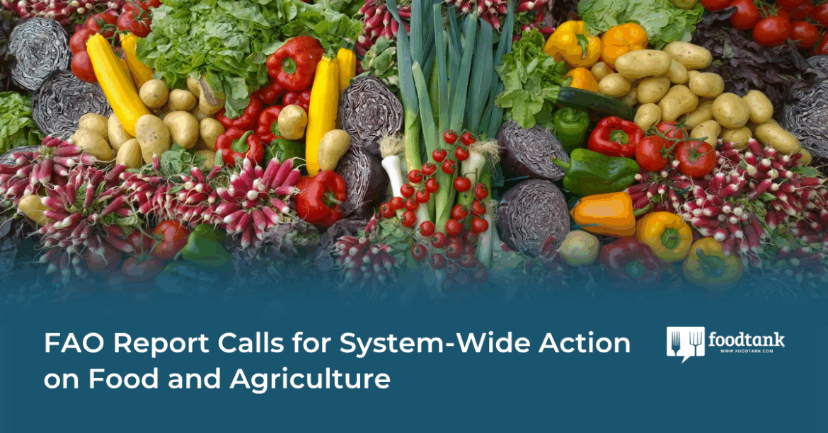 FAO Report Calls for System-Wide Action on Food and Agriculture – Food Tank