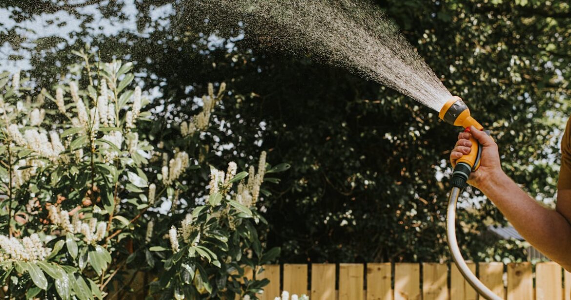 How can I protect my garden from drought? – The Irish Times How can I protect my garden from drought? – The Irish Times