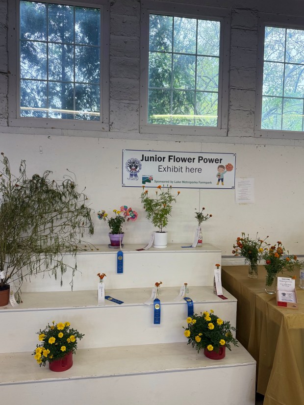 From youth divisions to garden clubs, the Lake County Fair...