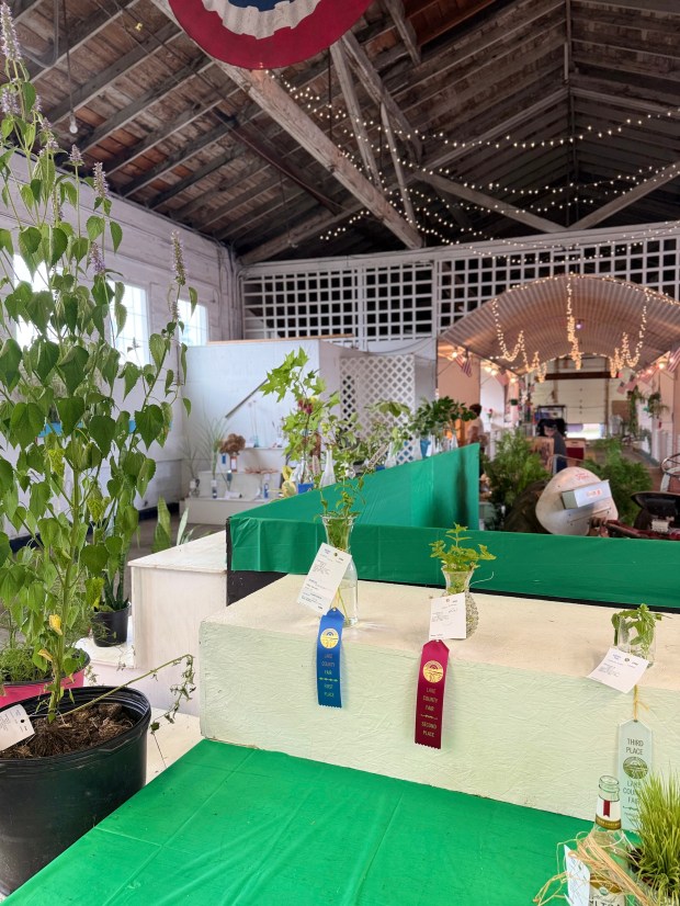 From youth divisions to garden clubs, the Lake County Fair...