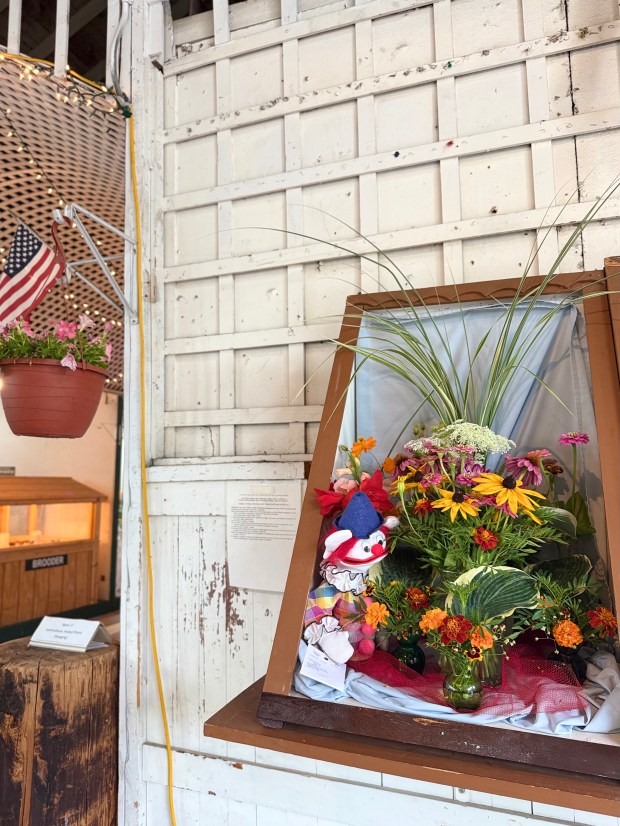 From youth divisions to garden clubs, the Lake County Fair...