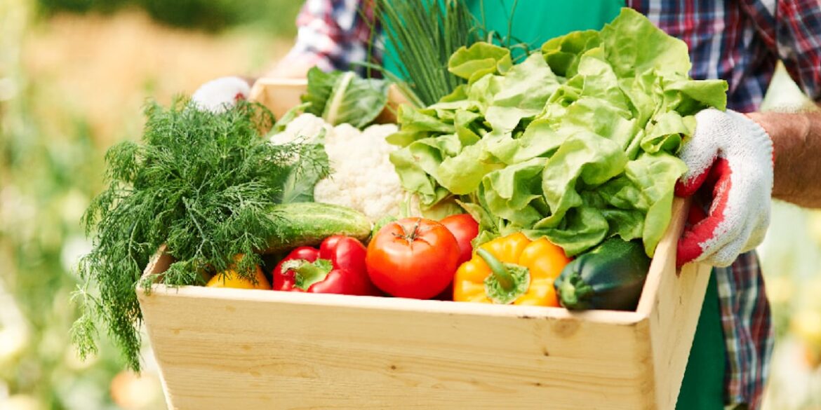 Harvest smarter with valuable gardening tips Harvest smarter with valuable gardening tips