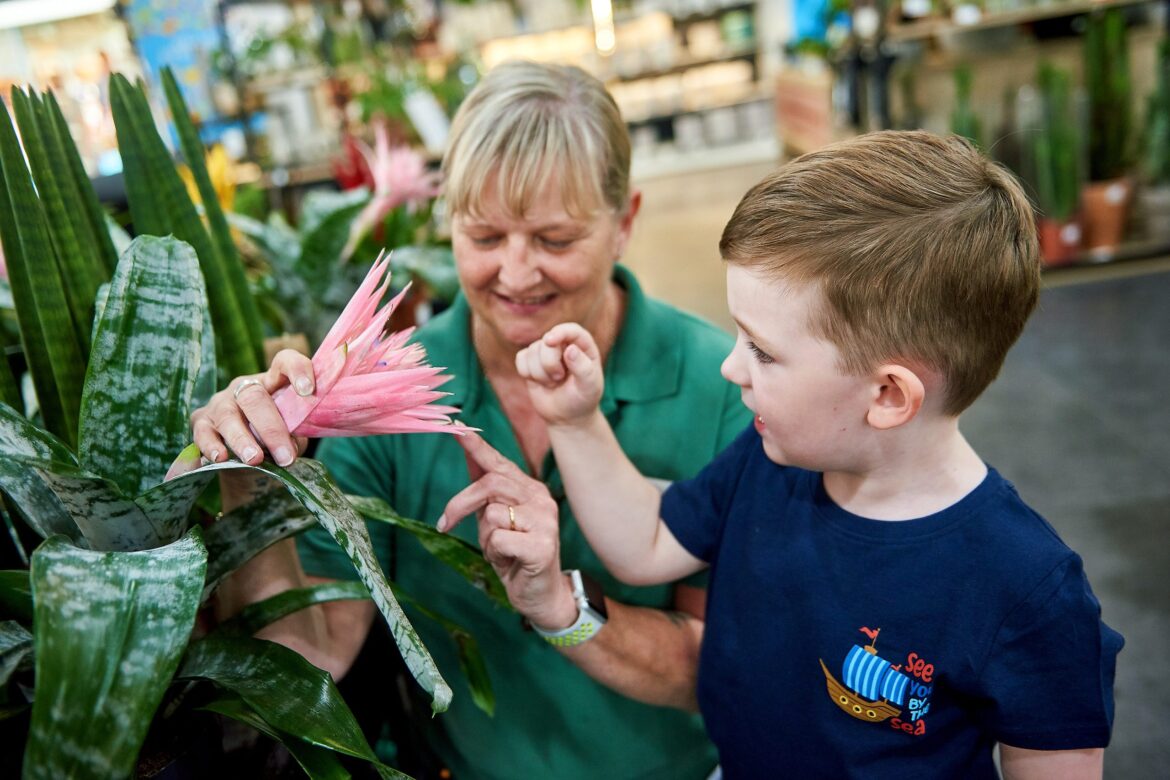 Prehistoric plants in focus at gardening session for kids Prehistoric plants in focus at gardening session for kids