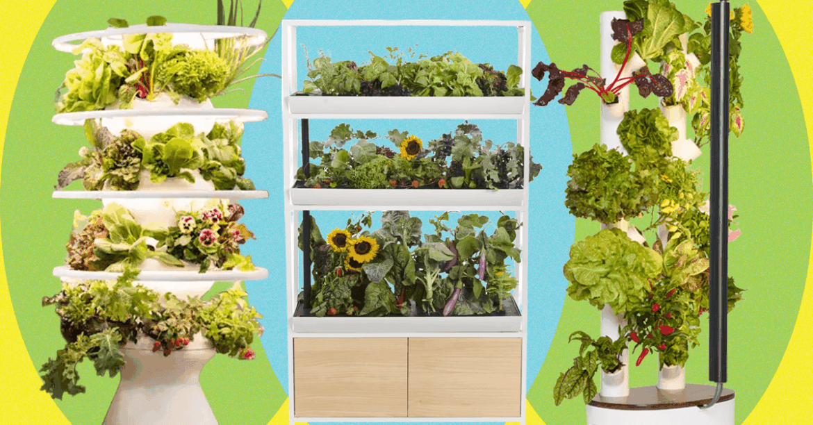 Best Indoor Garden Systems (2025), Tested and Reviewed