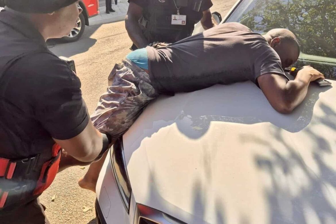 Cannabis candy sends KZN gardener on chaotic journey