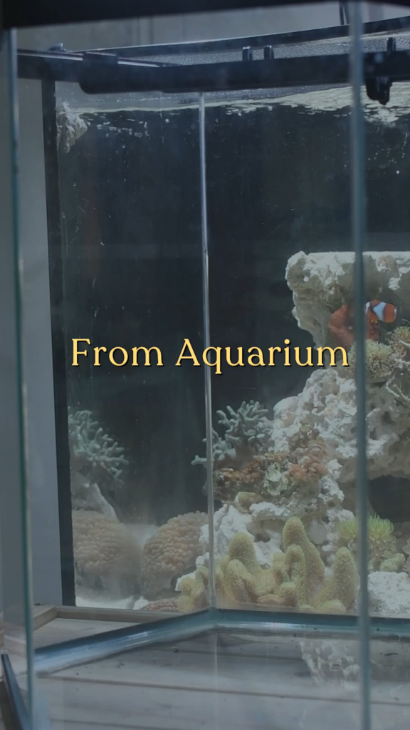 From Aquarium To Terrarium