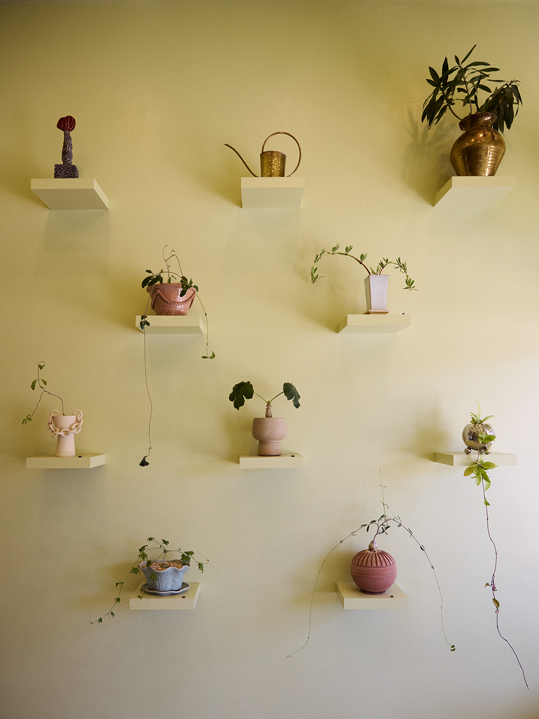 Plant wall with shelves