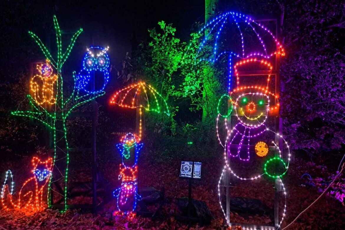 An example of a Christmas light trail