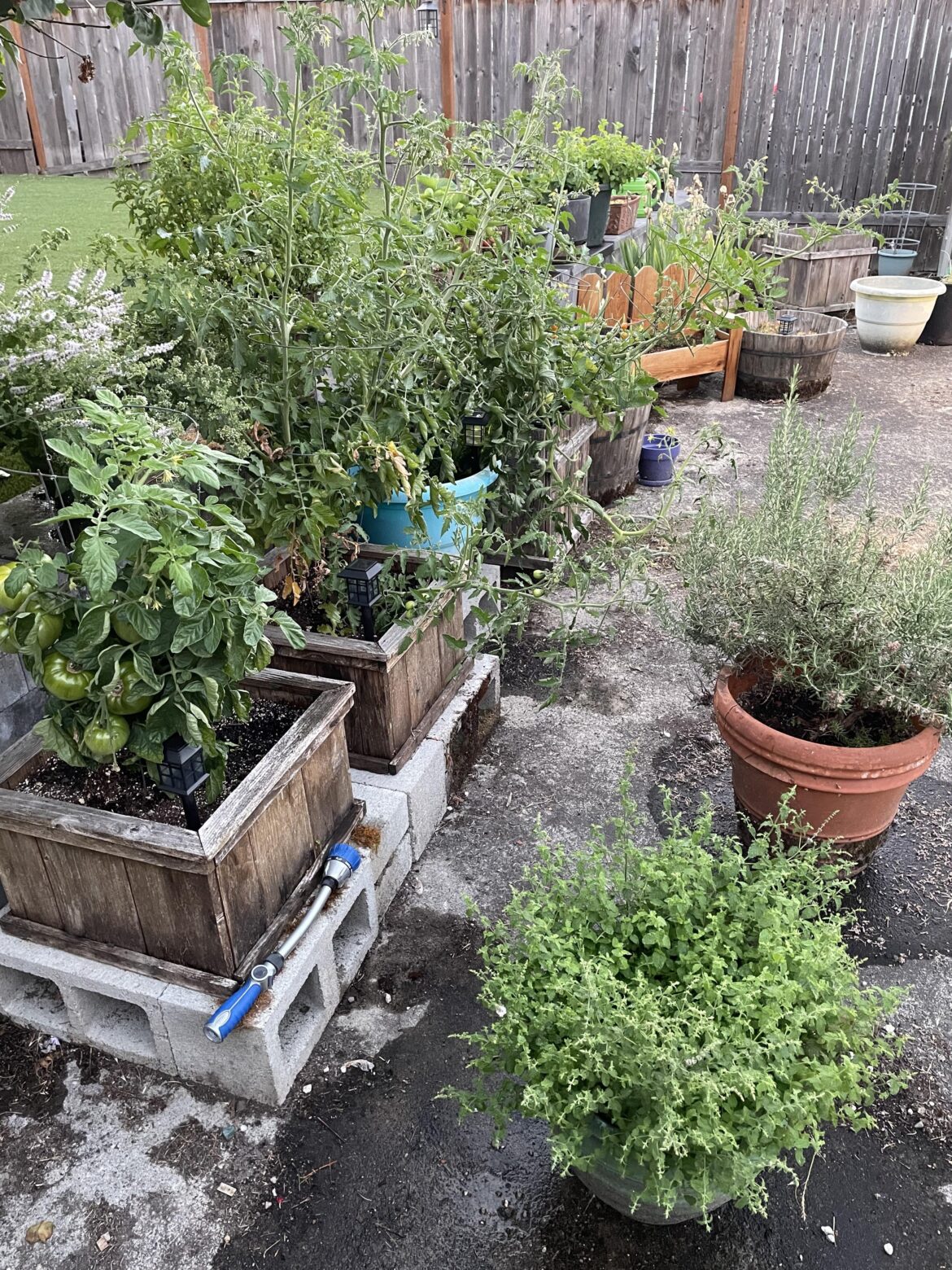 My corner of the world